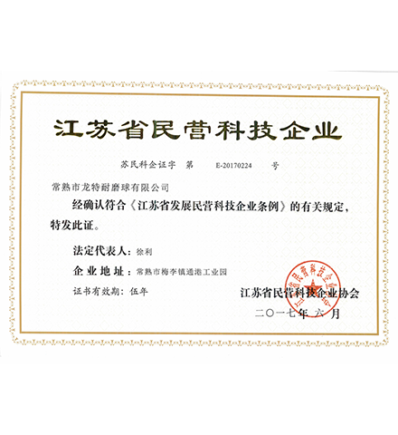6.江蘇省民營科技企業.png