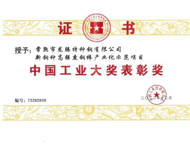 中國工業大獎表彰獎.png