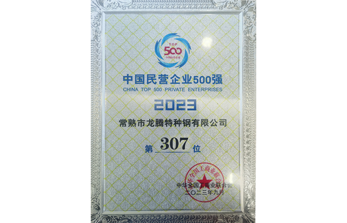 2023年中國民營企業500強307位.png